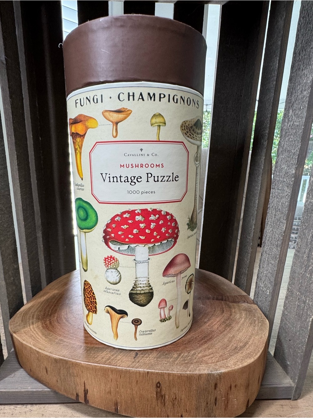 Cavallini & Co. Mushrooms Vintage Puzzle 1000 pieces